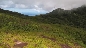 Drone shot from copolia trail the lush forest, Mahe Seychelles