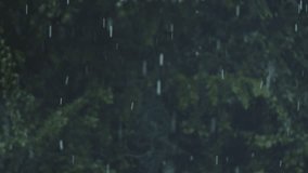 Slow-motion shot of hail falling through the frame, dark green bushes in the background. Static shot of a hail storm in spring. - Powered by Shutterstock - Get 15% off with code: PIKWIZARD15