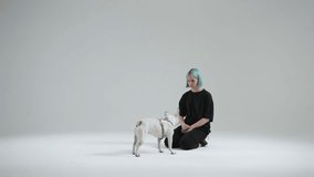 French bulldog performing the command to lay on side and roll over. The master rewards the pet with dog food. The command is useful when visiting vet. High quality 4k footage
