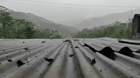 raining shower in the dense forest, close-up of rainfall on roof top, Raining day in tropical forest. rain drop on leaf tree.Rain Falling On Roof Top. 
