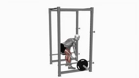 Barbell rack pull powerlifting fitness exercise workout animation male muscle highlight demonstration at 4K resolution 60 fps crisp quality for websites, apps, blogs, social media etc.
