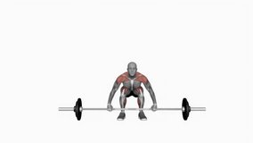 cluster powerlifting fitness exercise workout animation male muscle highlight demonstration at 4K resolution 60 fps crisp quality for websites, apps, blogs, social media etc.