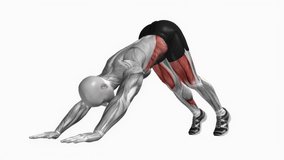 Pike Push fitness exercise workout animation male muscle highlight demonstration at 4K resolution 60 fps crisp quality for websites, apps, blogs, social media etc.