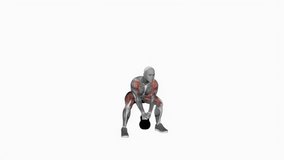 Kettlebell Sumo High Pull Exercise fitness exercise workout animation male muscle highlight demonstration at 4K resolution 60 fps crisp quality for websites, apps, blogs, social media etc.