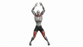 jumping jack fitness exercise workout animation male muscle highlight demonstration at 4K resolution 60 fps crisp quality for websites, apps, blogs, social media etc.