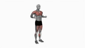 Double Punch Front Leg Lift fitness exercise workout animation male muscle highlight demonstration at 4K resolution 60 fps crisp quality for websites, apps, blogs, social media etc.