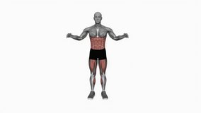 Double Knee Drive fitness exercise workout animation male muscle highlight demonstration at 4K resolution 60 fps crisp quality for websites, apps, blogs, social media etc.