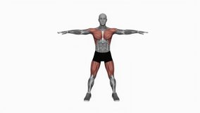 criss cross jack fitness exercise workout animation male muscle highlight demonstration at 4K resolution 60 fps crisp quality for websites, apps, blogs, social media etc.