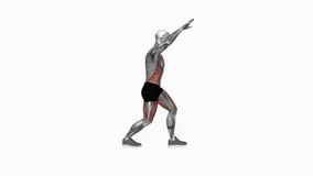 Corner Touch fitness exercise workout animation male muscle highlight demonstration at 4K resolution 60 fps crisp quality for websites, apps, blogs, social media etc.