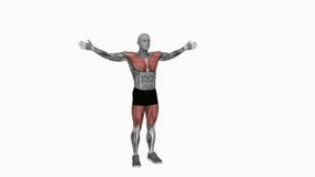 Clap Jack fitness exercise workout animation male muscle highlight demonstration at 4K resolution 60 fps crisp quality for websites, apps, blogs, social media etc.