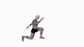 Cardio Lunge fitness exercise workout animation male muscle highlight demonstration at 4K resolution 60 fps crisp quality for websites, apps, blogs, social media etc.