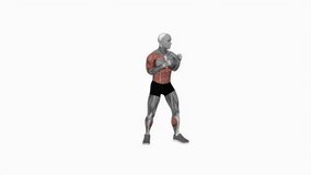 Boxing Right Uppercut fitness exercise workout animation male muscle highlight demonstration at 4K resolution 60 fps crisp quality for websites, apps, blogs, social media etc.