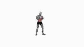 Boxing left uppercut fitness exercise workout animation male muscle highlight demonstration at 4K resolution 60 fps crisp quality for websites, apps, blogs, social media etc.