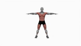 Bouncing Inner Thigh Tap fitness exercise workout animation male muscle highlight demonstration at 4K resolution 60 fps crisp quality for websites, apps, blogs, social media etc.