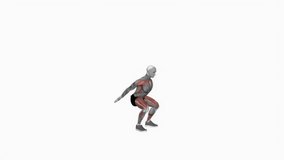 Body Throw fitness exercise workout animation male muscle highlight demonstration at 4K resolution 60 fps crisp quality for websites, apps, blogs, social media etc.