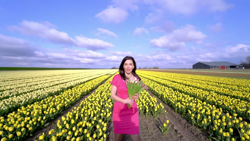 Beautiful Woman in summer dress standing in colorful tulip flower fields in Amsterdam region, Holland, Netherlands. Magical Netherlands landscape with tulip field in Holland Trevel and spring concept. | Shutterstock HD Video #1104319823