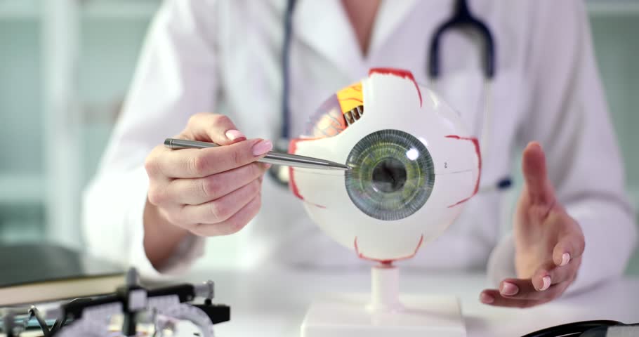 Ophthalmologist points pen to artificial model of eyeball Royalty-Free Stock Footage #1104320421