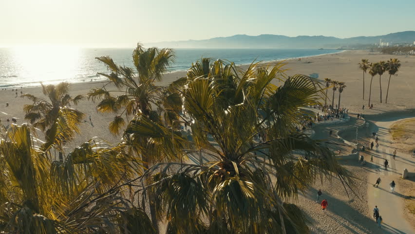 Venice Beach Drone in Los Angeles. Skateboarder skateboarding in Venice Beach. Overhead aerial shot. Skatepark with Bikers and Palm trees.