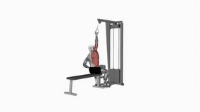 Cable one arm lat pulldown fitness exercise workout animation male muscle highlight demonstration at 4K resolution 60 fps crisp quality for websites, apps, blogs, social media etc.