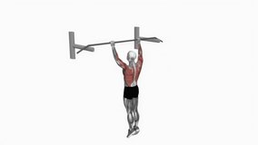 
Bodyweight Muscle-up fitness exercise workout animation male muscle highlight demonstration at 4K resolution 60 fps crisp quality for websites, apps, blogs, social media etc.