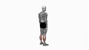 ankle plantar flexion fitness exercise workout animation male muscle highlight demonstration at 4K resolution 60 fps crisp quality for websites, apps, blogs, social media etc.