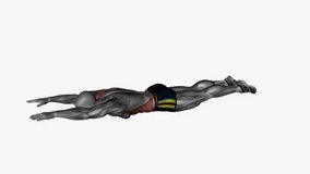 superman pulls fitness exercise workout animation male muscle highlight demonstration at 4K resolution 60 fps crisp quality for websites, apps, blogs, social media etc.