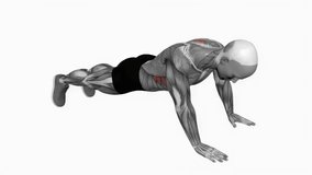 Scapula push up fitness exercise workout animation male muscle highlight demonstration at 4K resolution 60 fps crisp quality for websites, apps, blogs, social media etc.