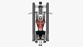 reverse grip lat pull down fitness exercise workout animation male muscle highlight demonstration at 4K resolution 60 fps crisp quality for websites, apps, blogs, social media etc.