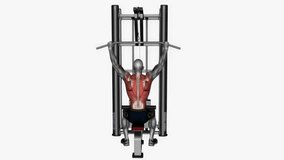 lat pull down normal grip fitness exercise workout animation male muscle highlight demonstration at 4K resolution 60 fps crisp quality for websites, apps, blogs, social media etc.