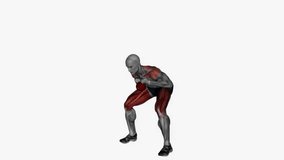 good mornings kettlebell fitness exercise workout animation male muscle highlight demonstration at 4K resolution 60 fps crisp quality for websites, apps, blogs, social media etc.