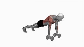 Dumbbell Renegade Row fitness exercise workout animation male muscle highlight demonstration at 4K resolution 60 fps crisp quality for websites, apps, blogs, social media etc.