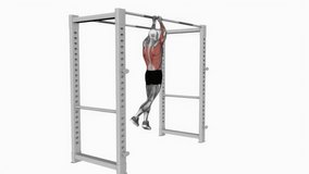 Commando Pull-up fitness exercise workout animation male muscle highlight demonstration at 4K resolution 60 fps crisp quality for websites, apps, blogs, social media etc.
