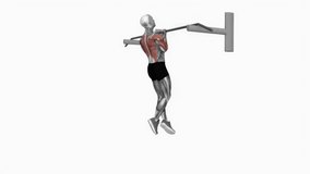 Close-reverse Grip Chin-Up fitness exercise workout animation male muscle highlight demonstration at 4K resolution 60 fps crisp quality for websites, apps, blogs, social media etc.