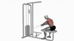 Cable seated row fitness exercise workout animation male muscle highlight demonstration at 4K resolution 60 fps crisp quality for websites, apps, blogs, social media etc.