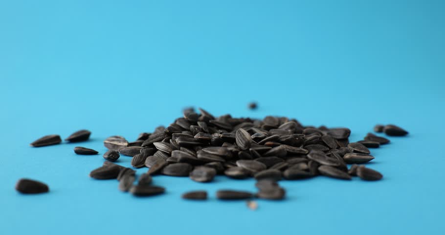 Sunflower seeds fall on surface in studio for advertisement | Shutterstock HD Video #1104350179