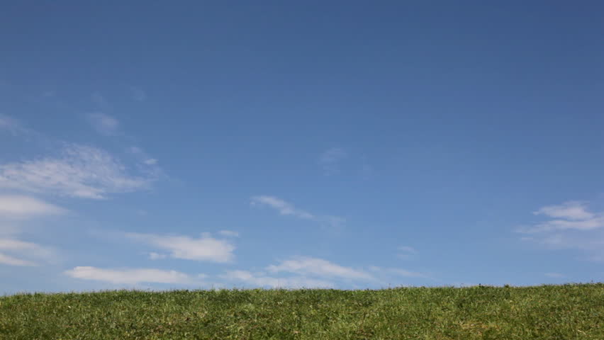 happy mature couple with granddaughter and grandson hands run away across grass then disappear over hill