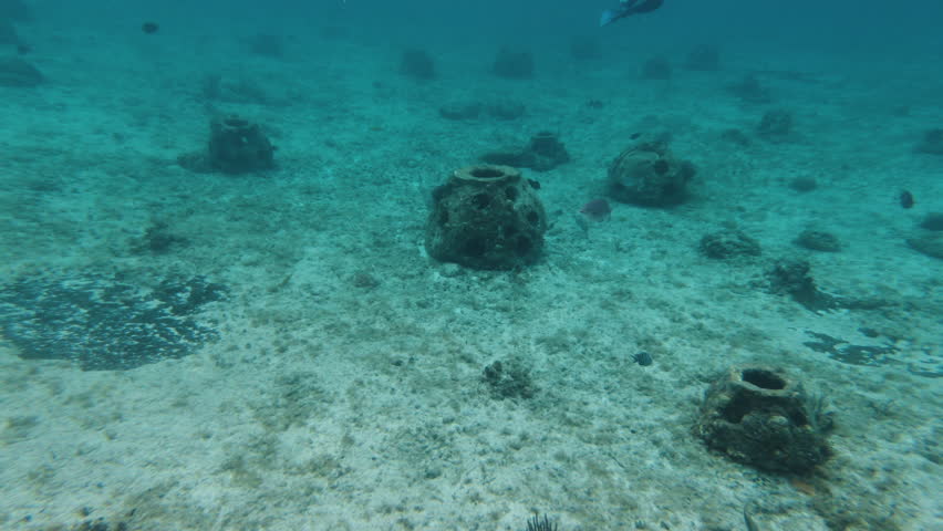 Tropical fish and man made coral reefs in clear blue tropical water