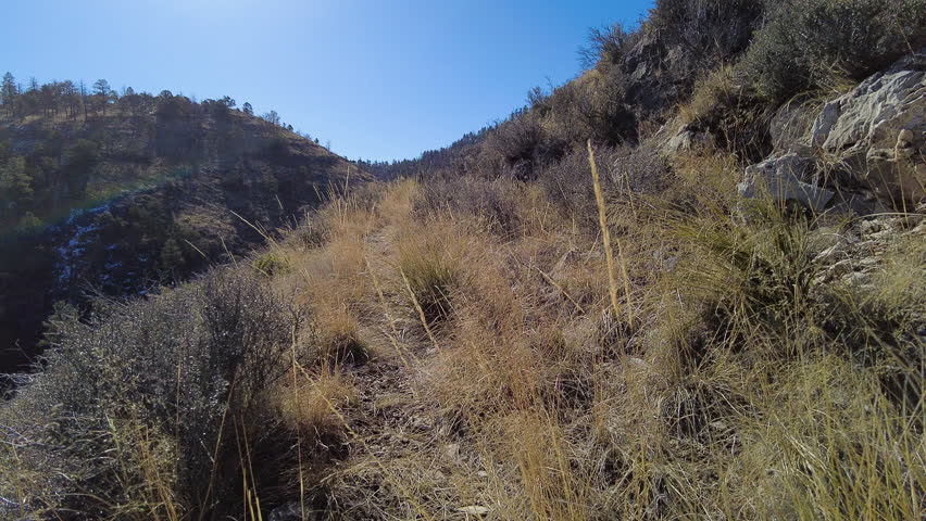 Hiking Up Overgrown Narrow Trail in Guadalupe Mountains National Park