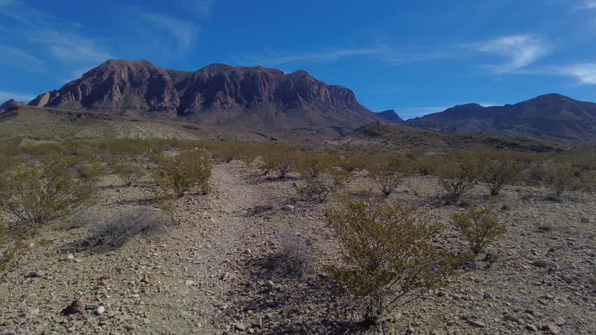 Hiking Through Sparse Desert Toward Mountains in Big Bend