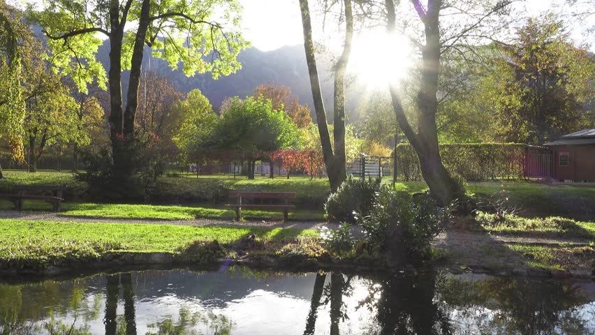 walking at the sunny autumn park with the view of sunbeams reflecting at the calm pond waters
