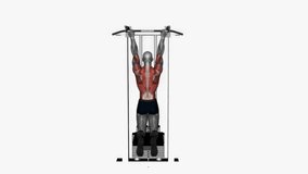 assisted chin up reverse wide grip fitness exercise workout animation male muscle highlight demonstration at 4K resolution 60 fps crisp quality for websites, apps, blogs, social media etc.