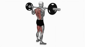 Barbell Good Morning fitness exercise workout animation male muscle highlight demonstration at 4K resolution 60 fps crisp quality for websites, apps, blogs, social media etc.