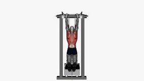 assisted pull up close grip fitness exercise workout animation male muscle highlight demonstration at 4K resolution 60 fps crisp quality for websites, apps, blogs, social media etc.