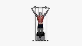 assisted pull up wide grip fitness exercise workout animation male muscle highlight demonstration at 4K resolution 60 fps crisp quality for websites, apps, blogs, social media etc.