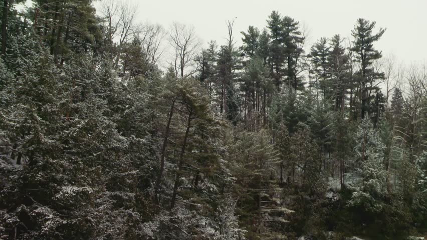 Icy Cliffs And Snowy Trees At Ausable Chasm During Winter In New York, USA. low angle, tilt down