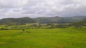 View of green rice fields taken from drone camera. Picturesque countryside of Indonesia. Beauty of earth with view of agricultural field, hills and cloudy sky - Orbit drone shot, 4K