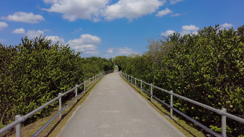 Following Pathway Through Forest With Railings On Both Sides in the Everglades