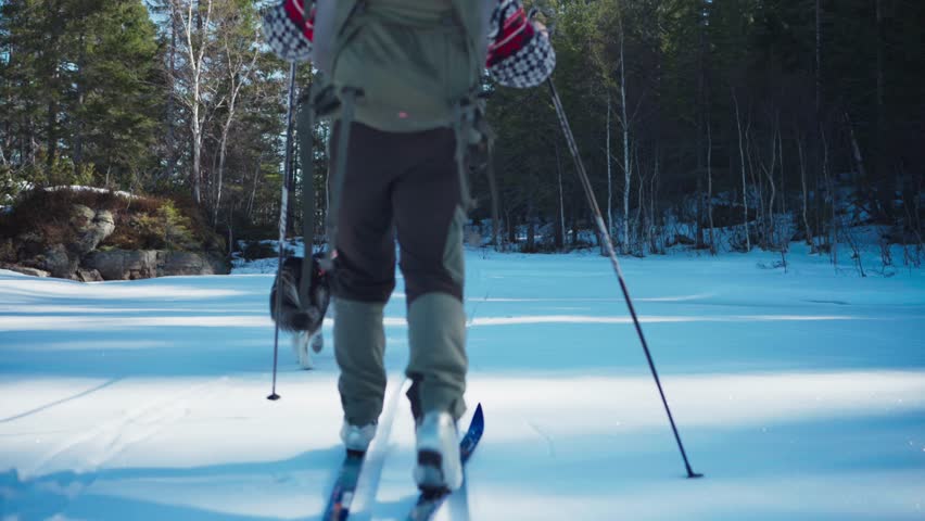 Man Skiing In The Mountains With His Alaskan Malamute Dog - wide