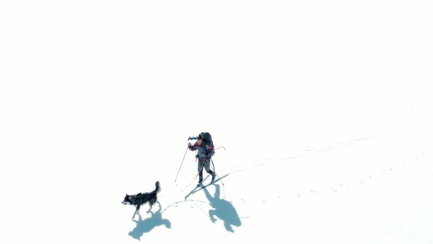 Skier And His Alaskan Malamute Dog On Winter Landscape In Indre Fosen, Norway - aerial drone shot
