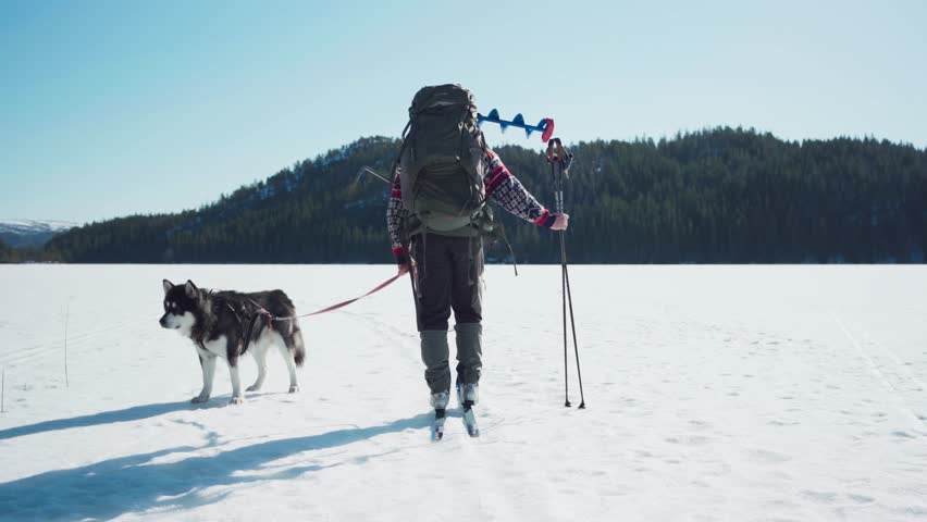 Male Backpacker With His Alaskan Malamute Dog Skiing In Indre Fosen, Norway During Winter - wide